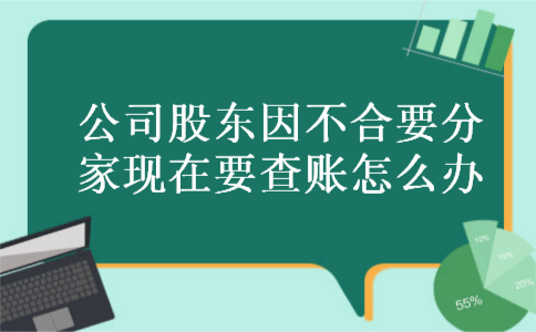 公司股东因不合要分家现在要查账怎么办