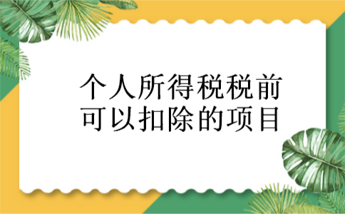 个人所得税税前可以扣除的项目 个人所得税税前可以扣除的项目