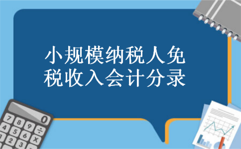小规模纳税人免税收入会计分录