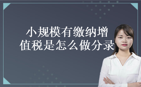 小规模有缴纳增值税是怎么做分录 小规模有缴纳增值税是怎么做分录