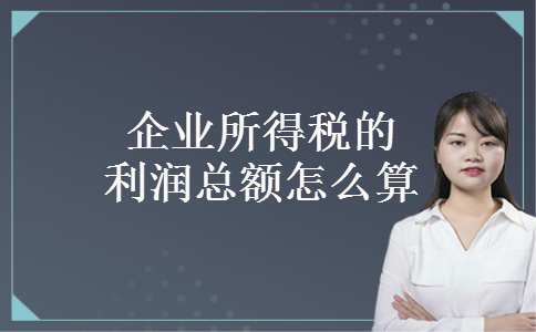 企业所得税的利润总额怎么算