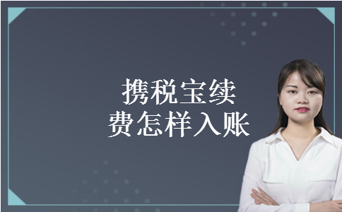 携税宝续费怎样入账