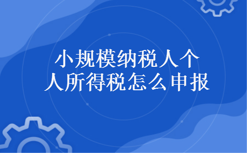 小规模纳税人个人所得税怎么申报