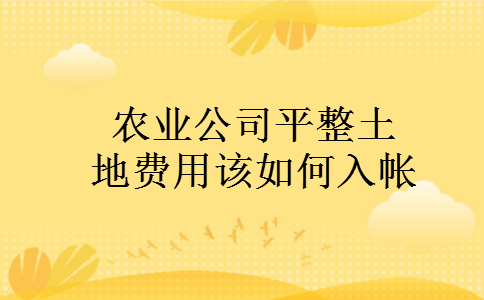 农业公司平整土地费用该如何入帐