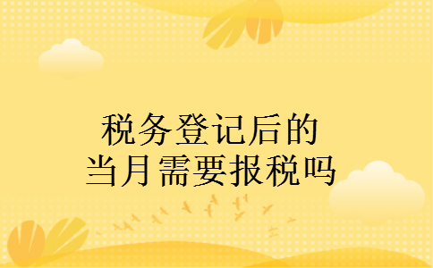 税务登记后的当月需要报税吗