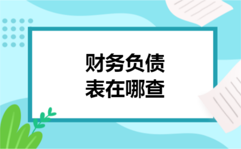 财务负债表在哪查