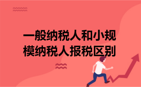 一般纳税人和小规模纳税人报税区别