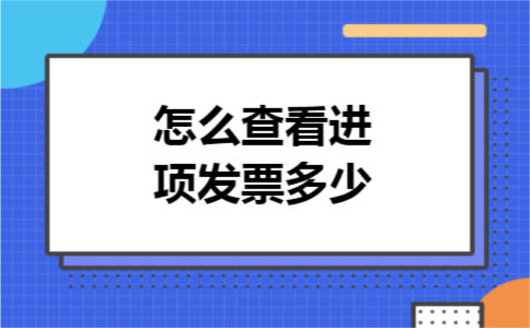 怎么查看进项发票多少