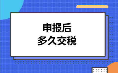 申报后多久交税