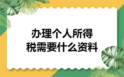 办理个人所得税需要什么资料