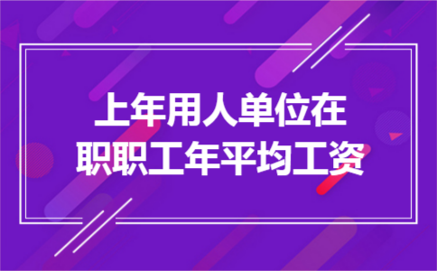 上年用人单位在职职工年平均工资