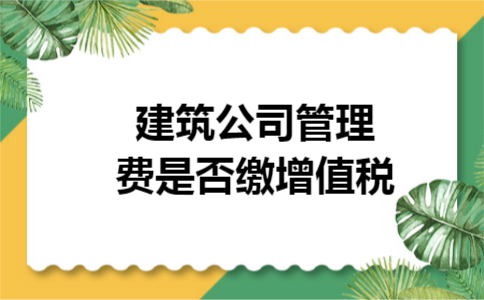 建筑公司管理费是否缴增值税