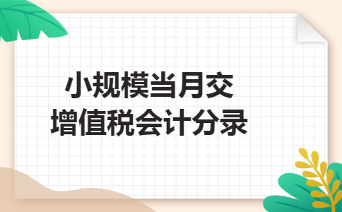 小规模当月交增值税会计分录