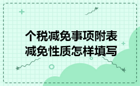 个税减免事项附表减免性质怎样填写