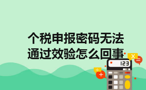 个税申报密码无法通过效验怎么回事