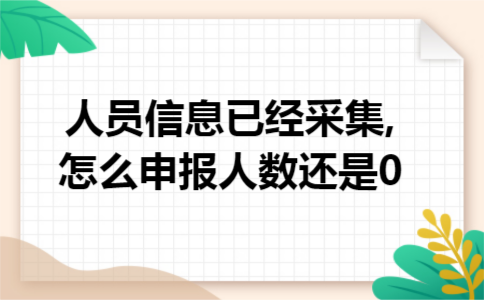 人员信息已经采集,怎么申报人数还是0 人员信息已经采集,怎么申报人数还是0