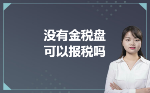 没有金税盘可以报税吗