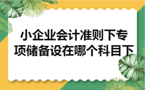 小企业会计准则下专项储备设在哪个科目下