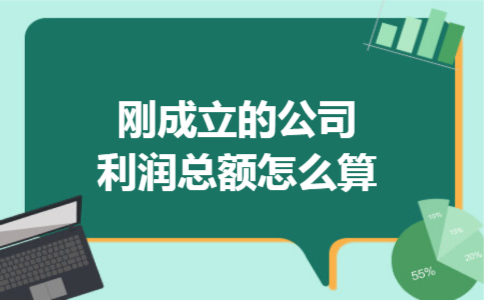 刚成立的公司利润总额怎么算?刚成立的公司利润总额怎么算