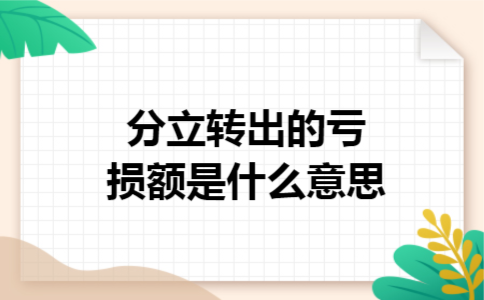 分立转出的亏损额是什么意思