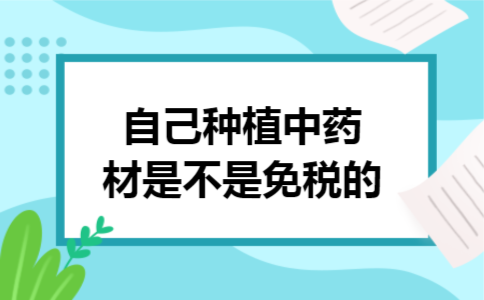 自己种植中药材是不是免税的