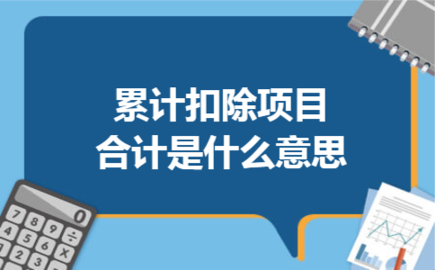 累计扣除项目合计是什么意思