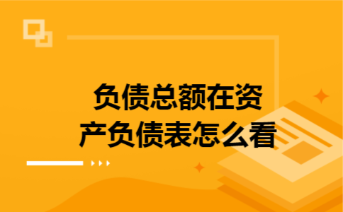 负债总额在资产负债表怎么看