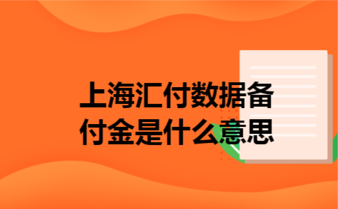 上海汇付数据备付金是什么意思