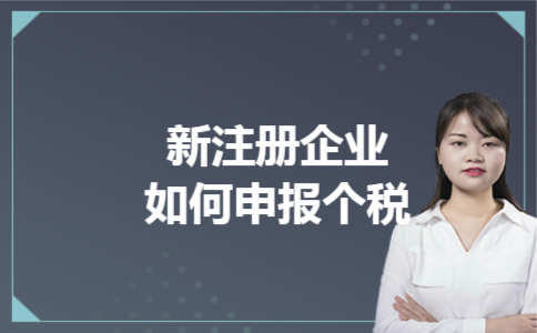  新注册企业如何申报个税
